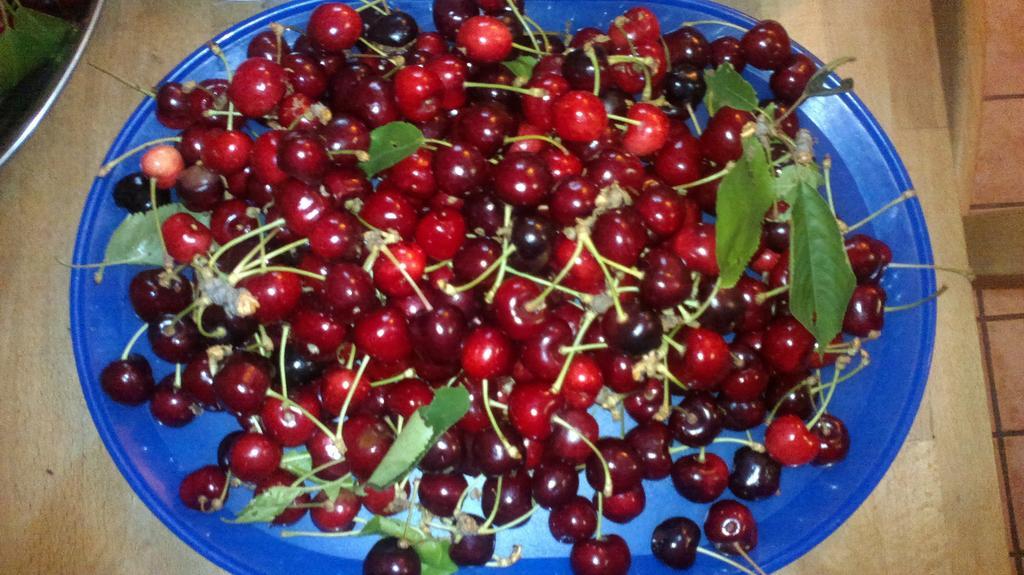 Vigoleno Casa Dell' Abbondanza B&B Agriturismo מראה חיצוני תמונה